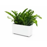 Vaso Mainland 4