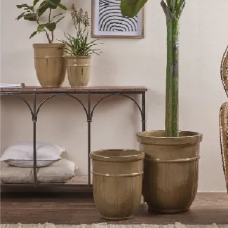 Vaso Glaze Coste